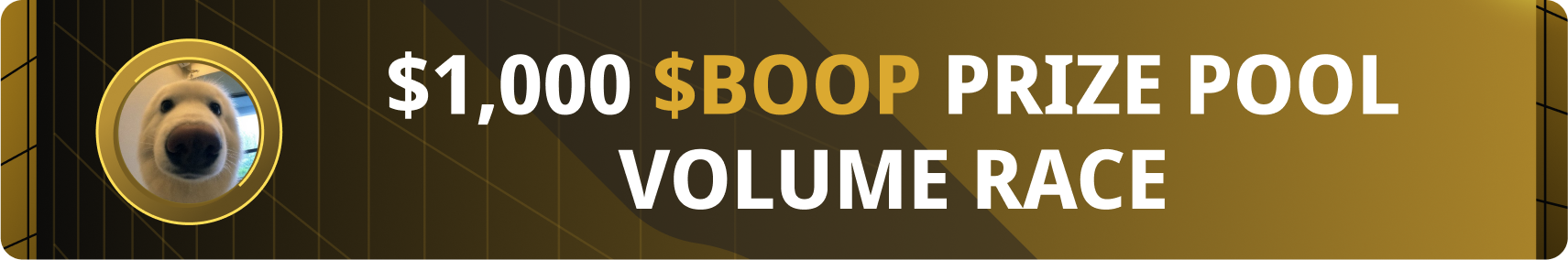 boop race banner